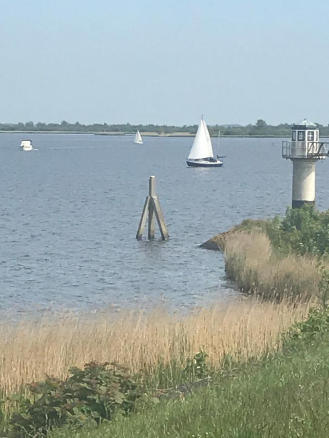 De Lauwersmeer Vogel Mit Eingezaeuntem Garten Anjum Eksteriør bilde